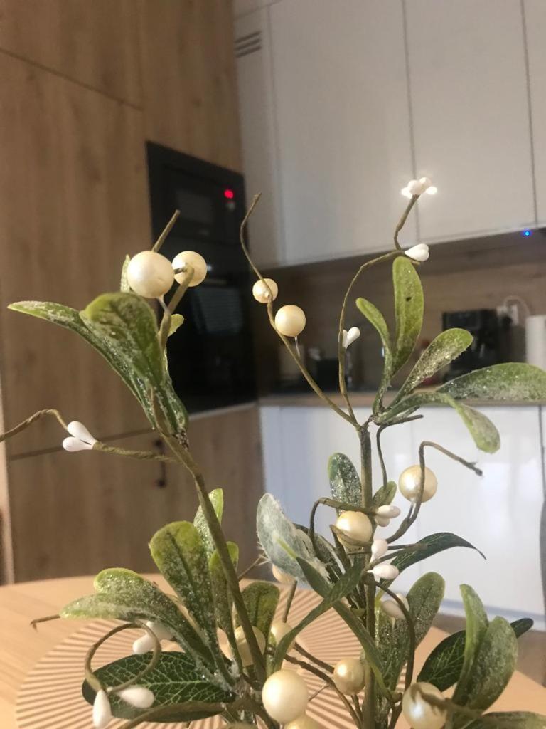 Apartament Kameralis Old Town - Klimatyzacja - Balkon - Winda Elblag Dış mekan fotoğraf